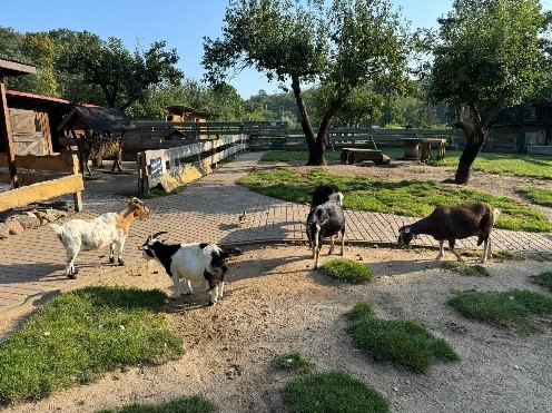 tiere
